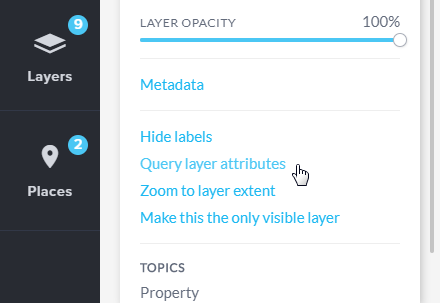 Query layer attributes